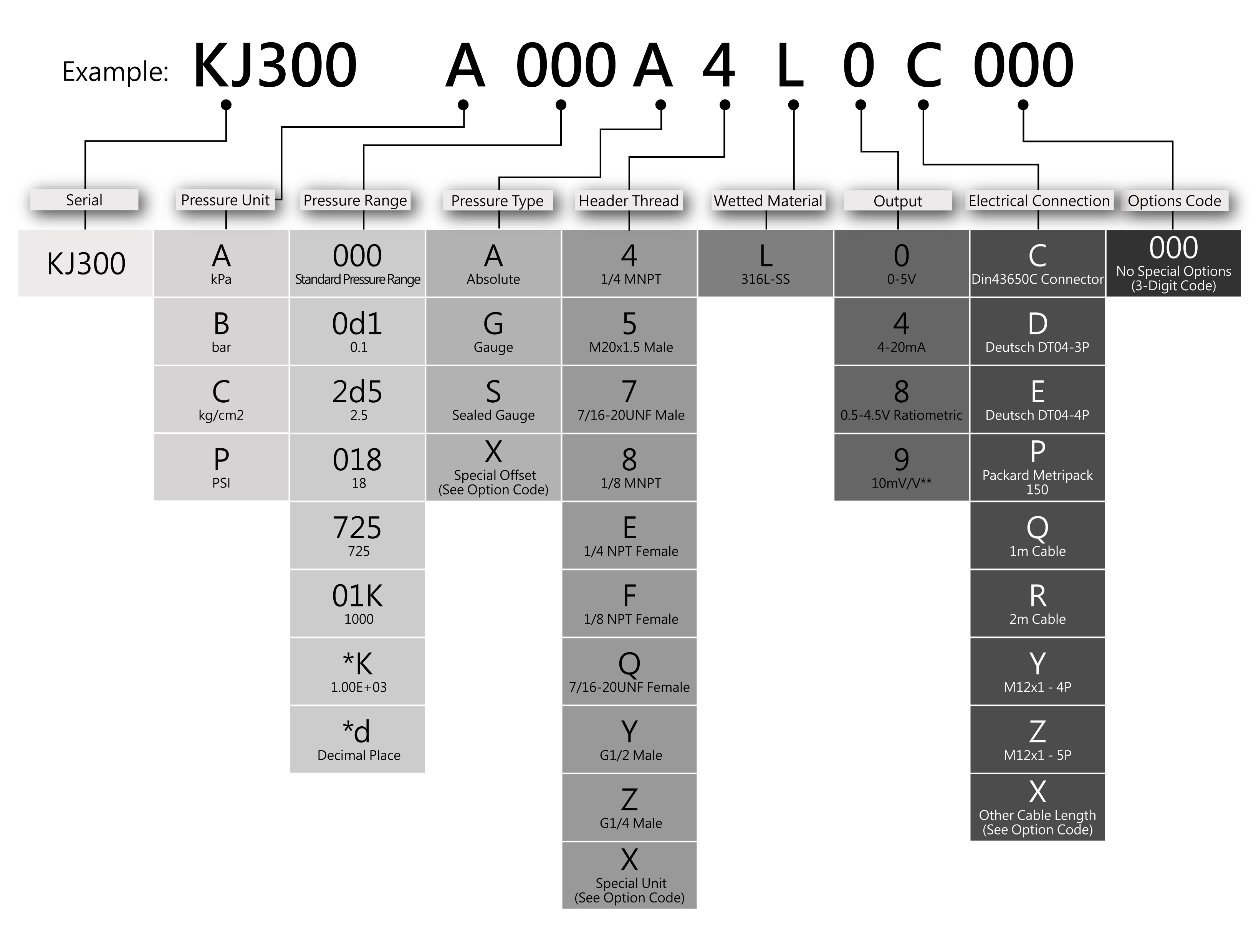 Ordering Information for AV300
