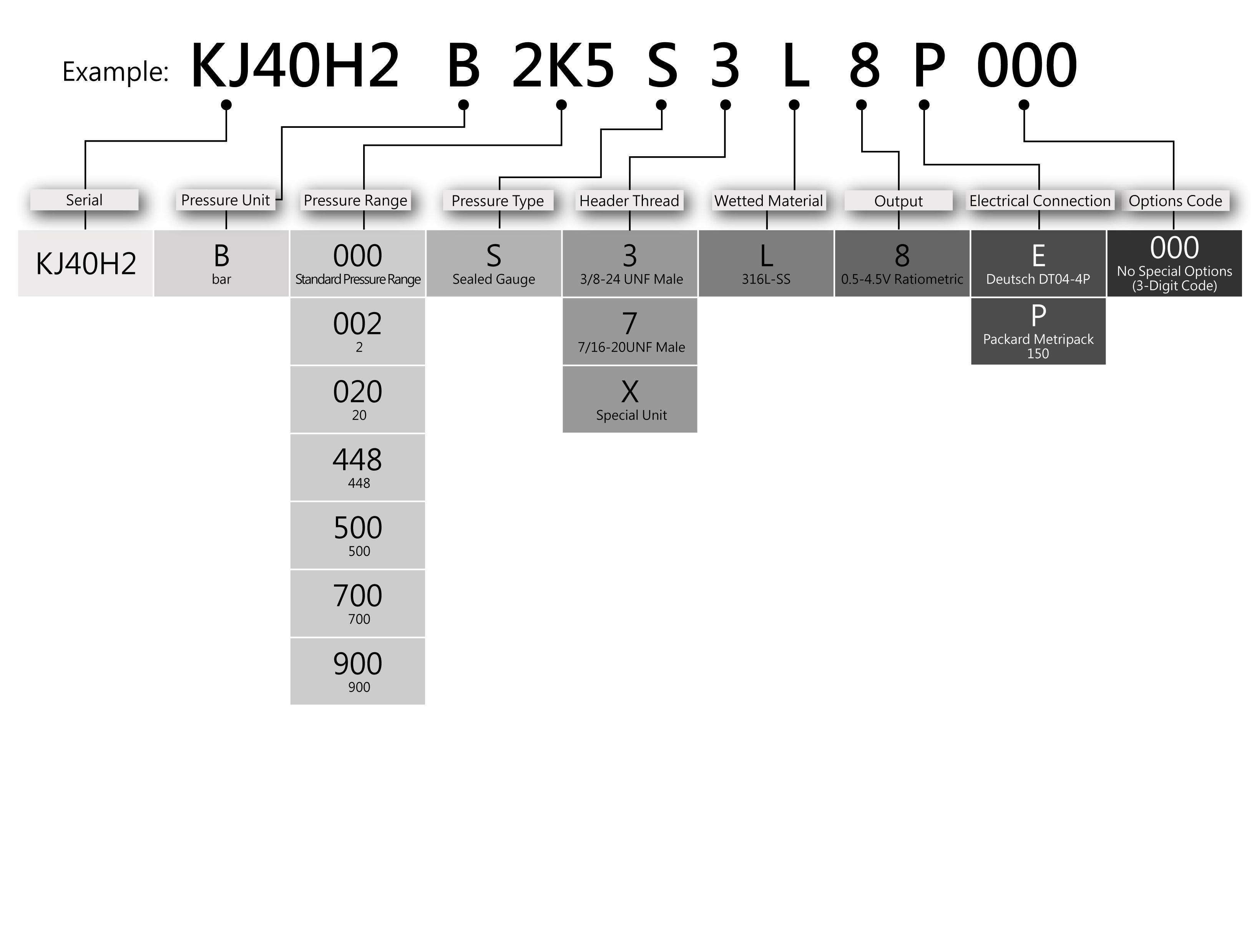 Ordering Information for AV40H2