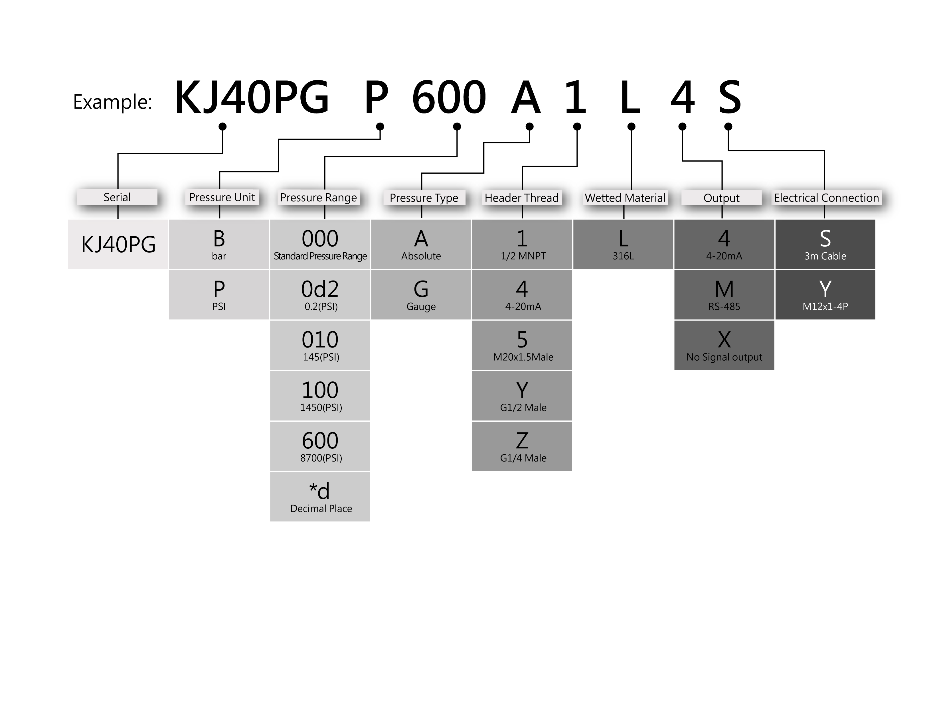 Ordering Information for AV40HT