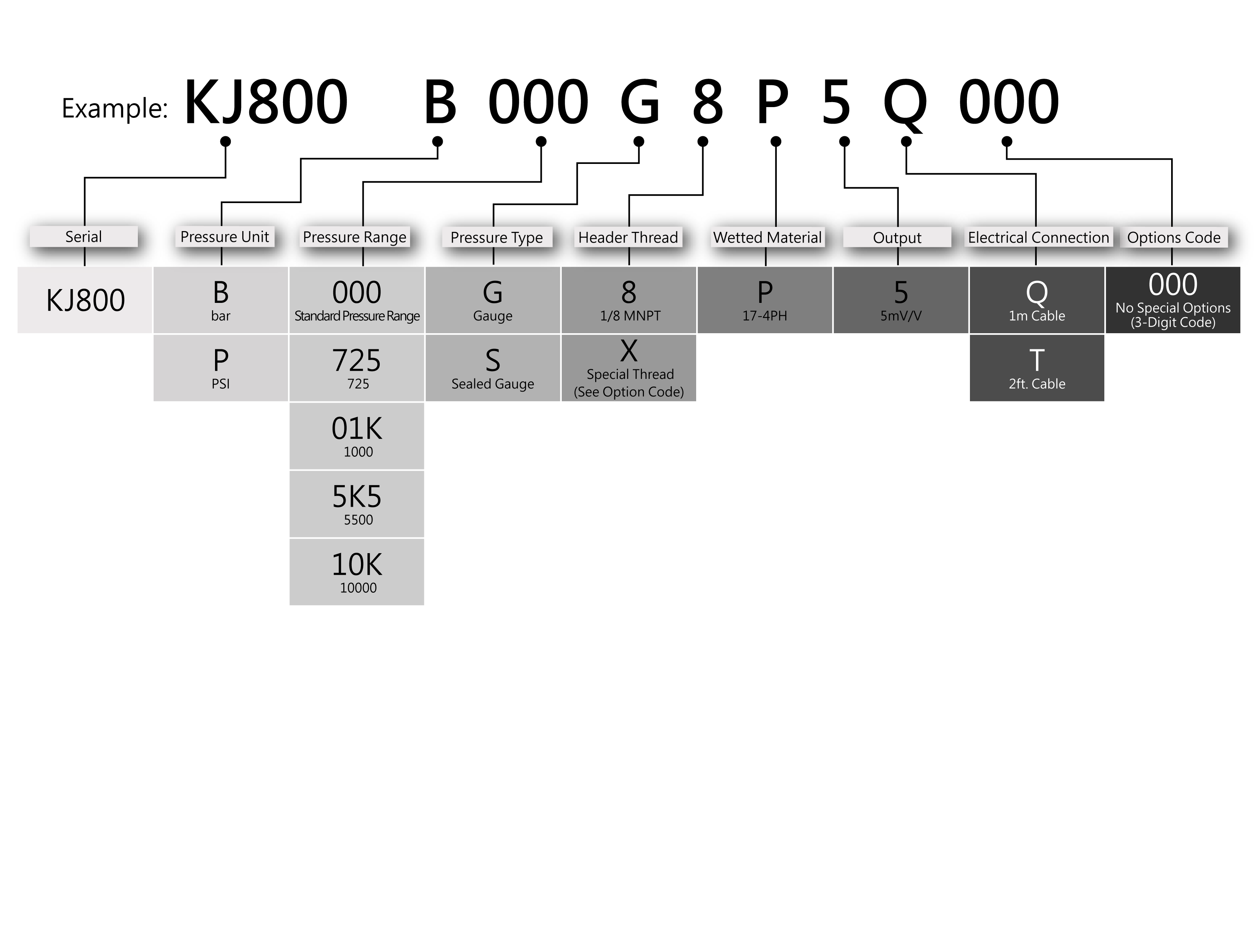 Ordering Information for AV40HT